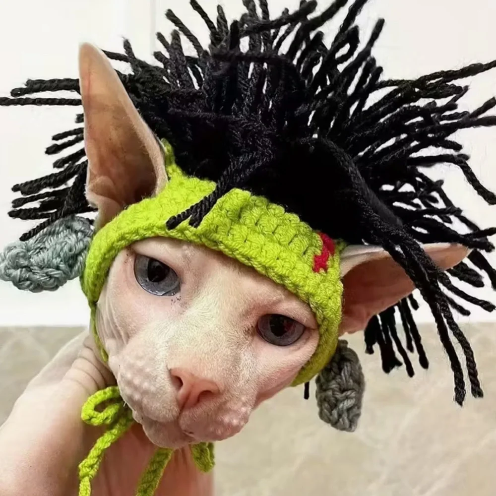 Costume Reggae Punk Rock Crochet Wig Hat for Small Pet Dog Cat (M)